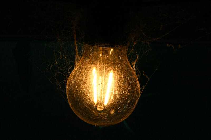 close-up of cobwebs around an electric lightbulb