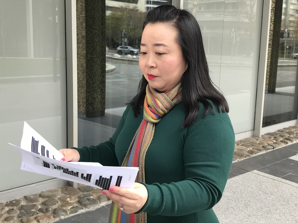 REDACTED: Canberra Liberals leader Elizabeth Lee is not impressed with the “thought piece” a $5 million contract produced. Photo: Nick Fuller