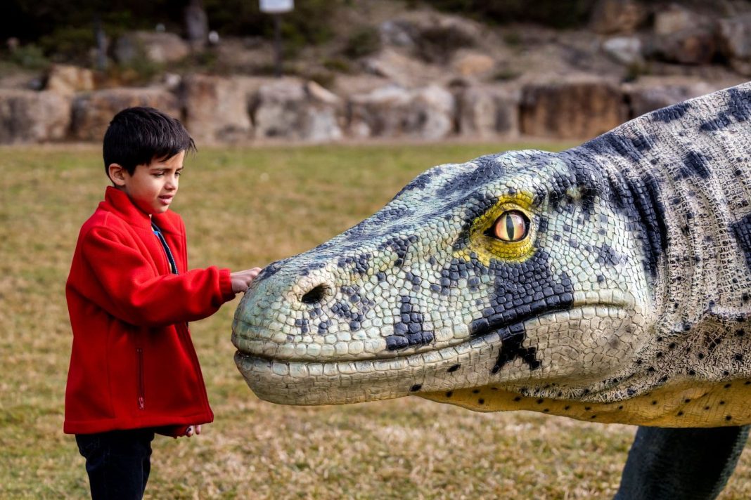 small boy patting a giant reptile sculpture