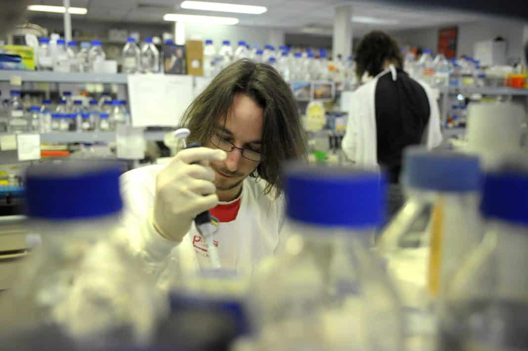 A medical researcher works at a cancer research centre in Australia