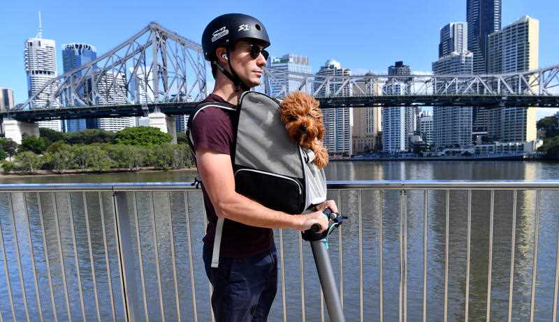 Michael Snowden and his pet cavoodle Snooks are seen riding his electric scooter along side the Brisbane River