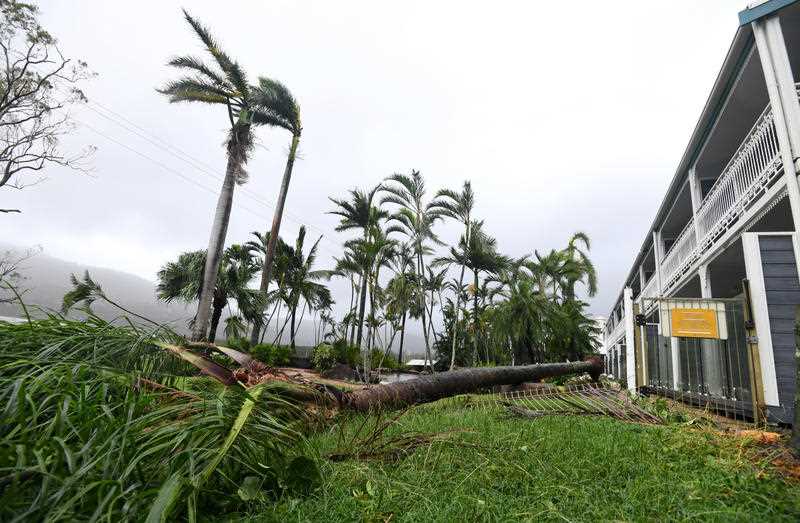 A palm tree is fallen behind a building during a cyclone in tropical Queensland