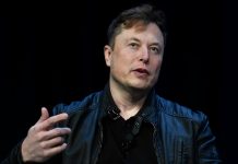 'Social Media Knob': Musk scorned over stance on X